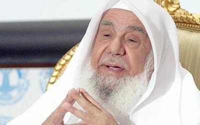المبادرات النوعية